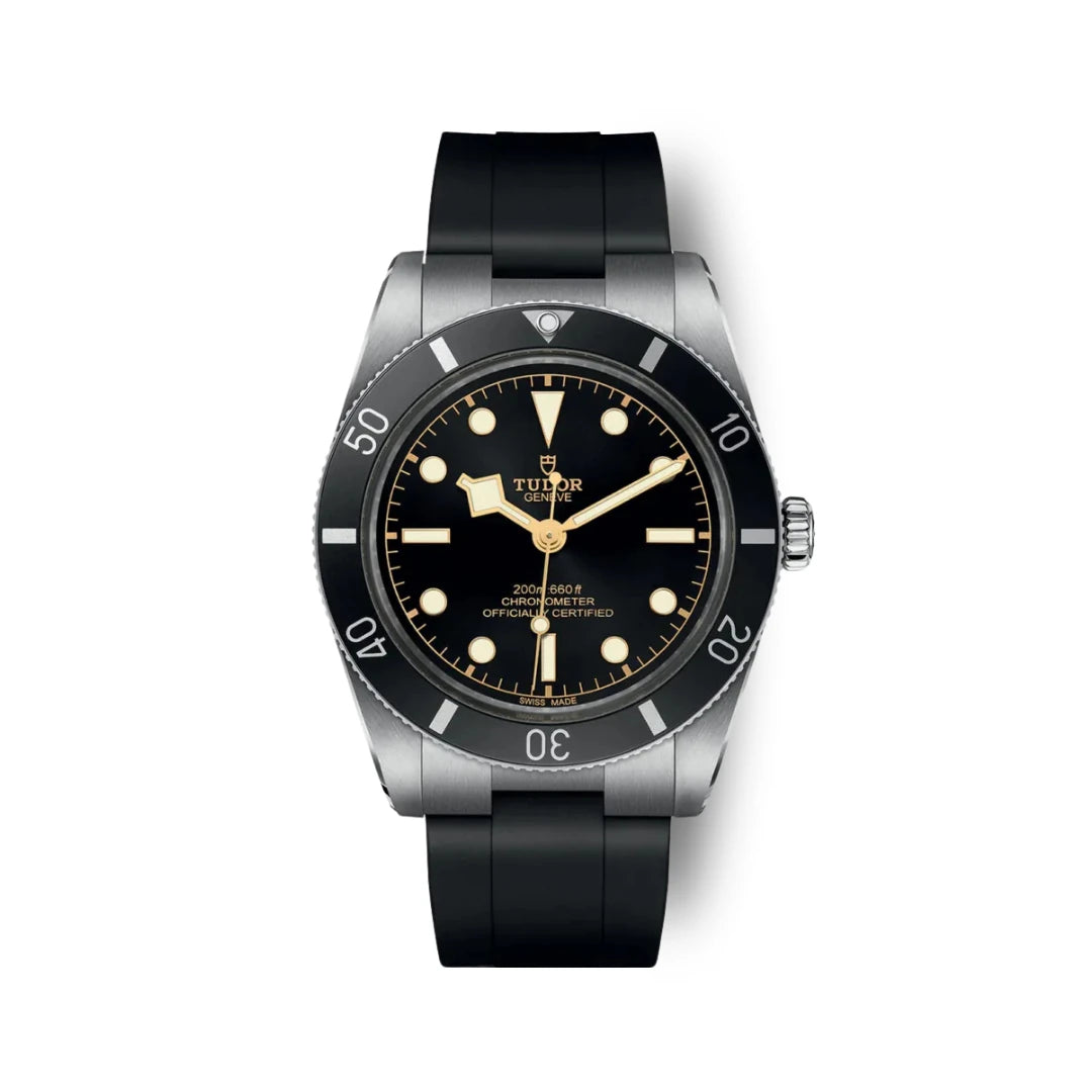 Tudor Black Bay 54 79000N Strap