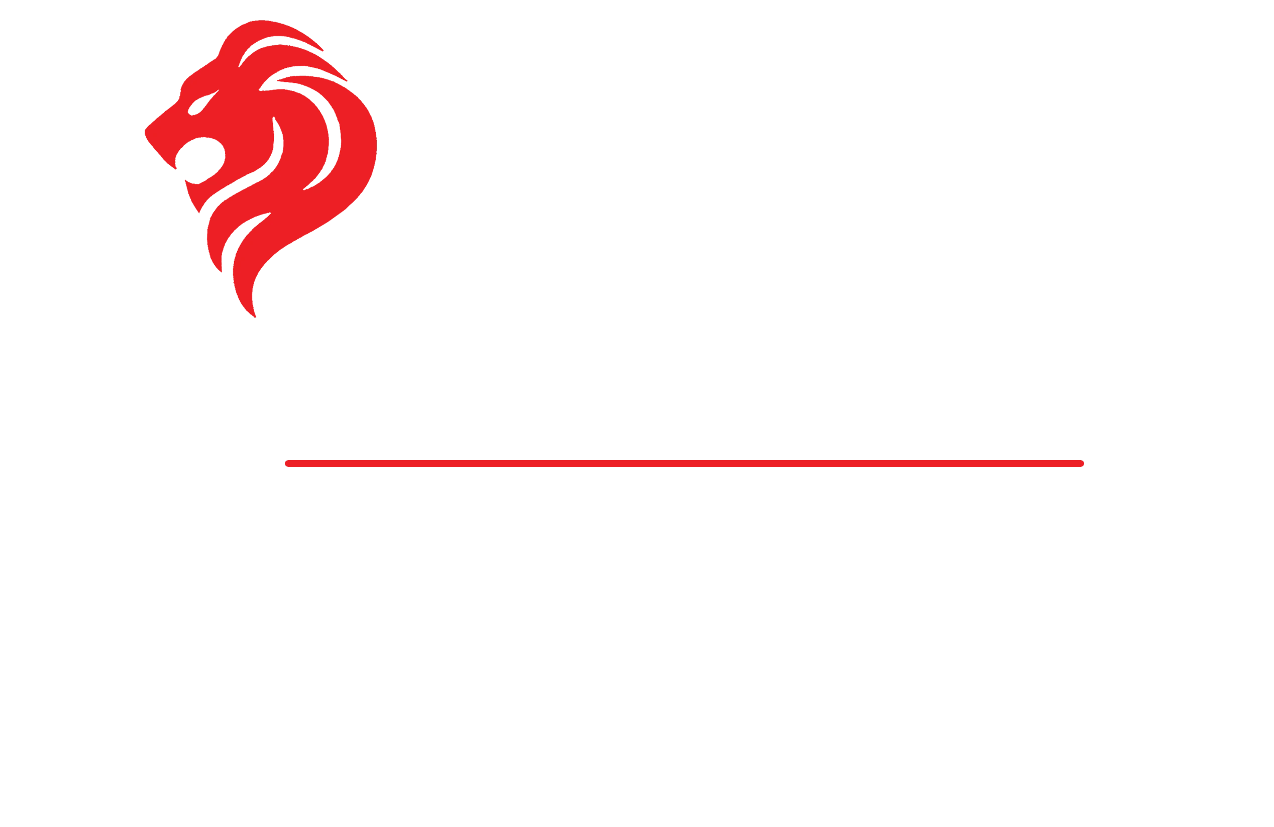 Watchskins Singapore SME 500 Award